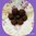 "Wonderchocks" - Schokoladenbällchen zum Abnehmen